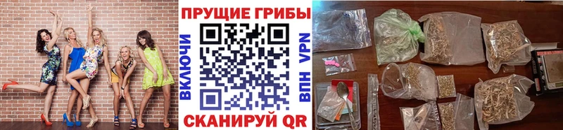 Галлюциногенные грибы Cubensis Родники